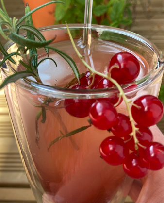 Biohotels Eistee Rezepte