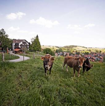 Biohotel moor&mehr