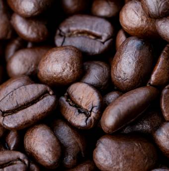 Lebensbaum Gewinnspiel Kaffee