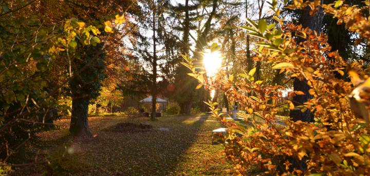 Angebote Herbst
