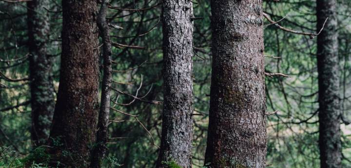 Biohotels Aktivurlaub Wandern