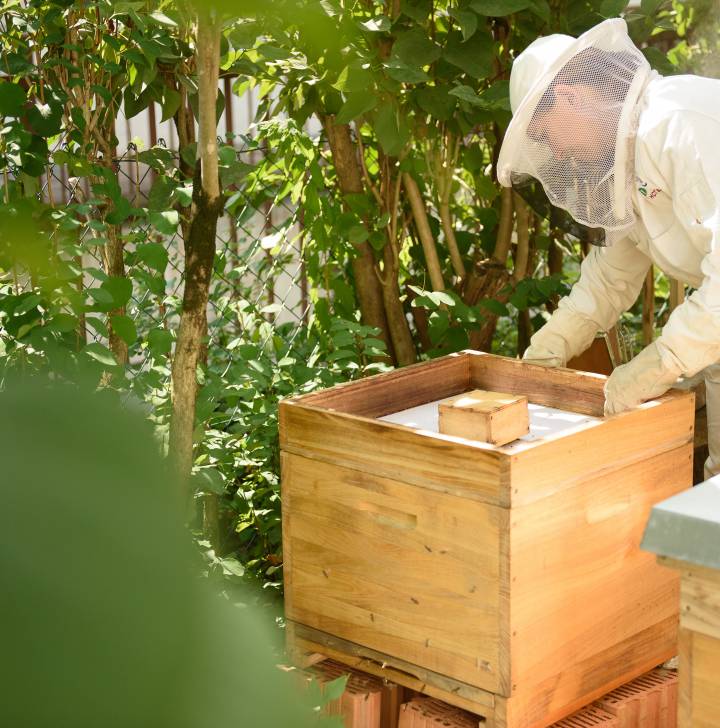 Biohotels Rettet die Bienen