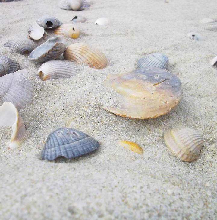biohotels-nordsee-urlaub.jpg