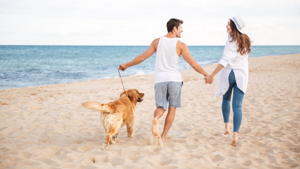 hotel mit hund italien