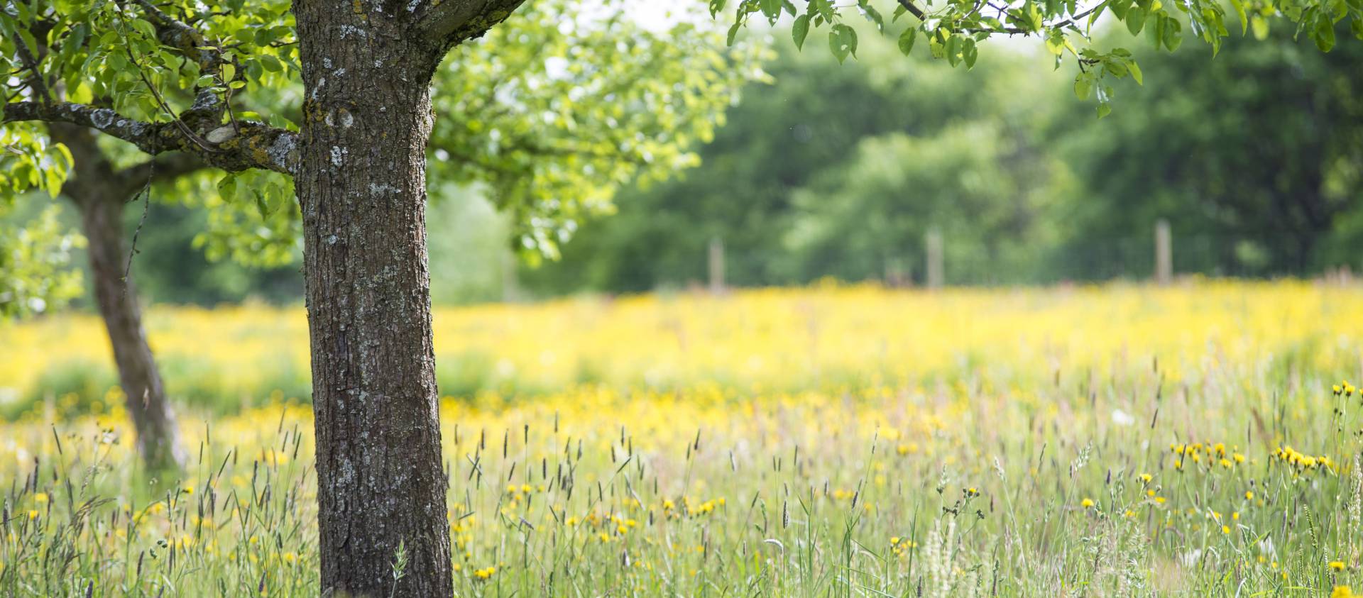 Biohotel Natur Urlaub Mohren