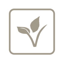 Biohotels Symbole Veganes Speisenangebot