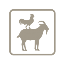 Biohotels Symbole Urlaub mit Tieren