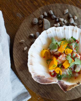 Ceviche von der Forelle