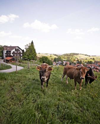 Unsere schönsten Naturhotels in Bayern