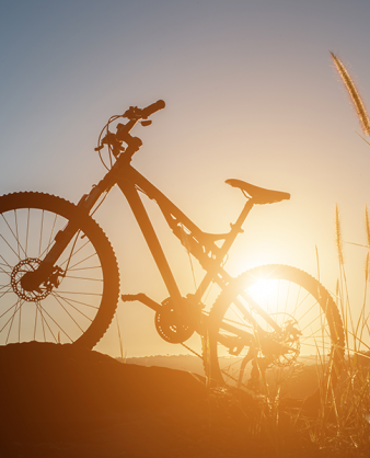 biohotel-bayern-kampagne-biken.png