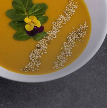 Fastenurlaub Biohotels Tiefleiten Suppe