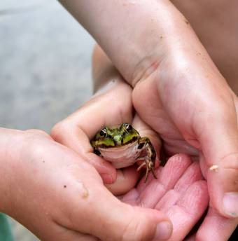 Biohotels Kinderhotel Urlaub mit Tieren