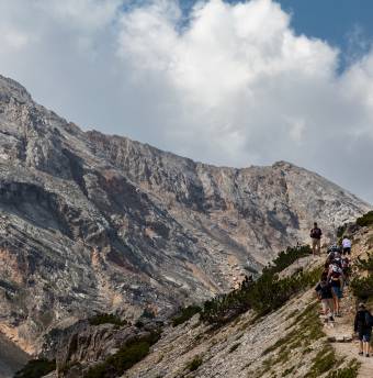 Biohotels Dolomiten