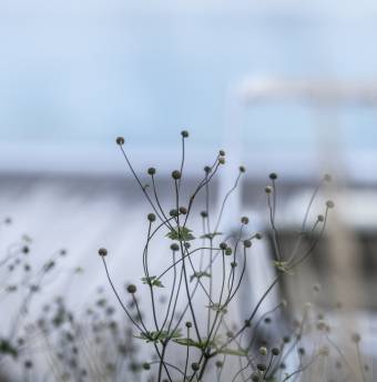 Biohotels Südtirol Törggelen theiners Garten