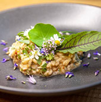 Biohotels Vegan Urlaub Hotel Steineggerhof