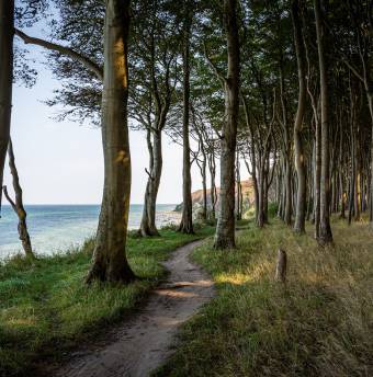 Biohotel Mecklenburg-Vorpommern