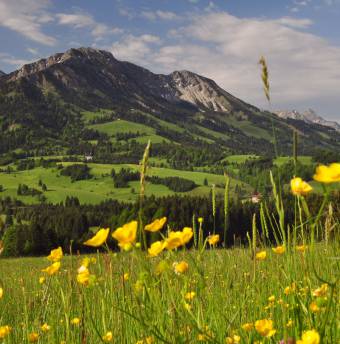 Biohotels Urlaub in den Bergen