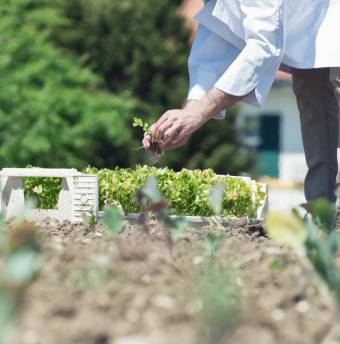 Farm to table Schlossgut Oberambach