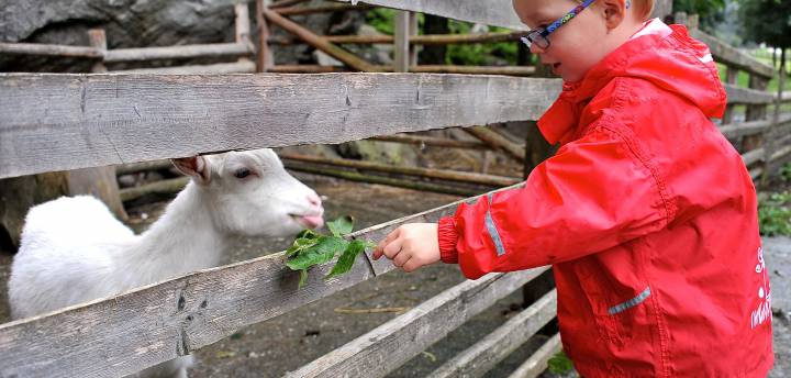Biohotels Kinderhotel Urlaub mit Tieren
