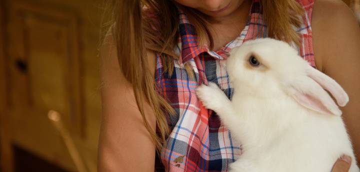 biohotels-familienhotel-urlaub-mit-tiere.jpg