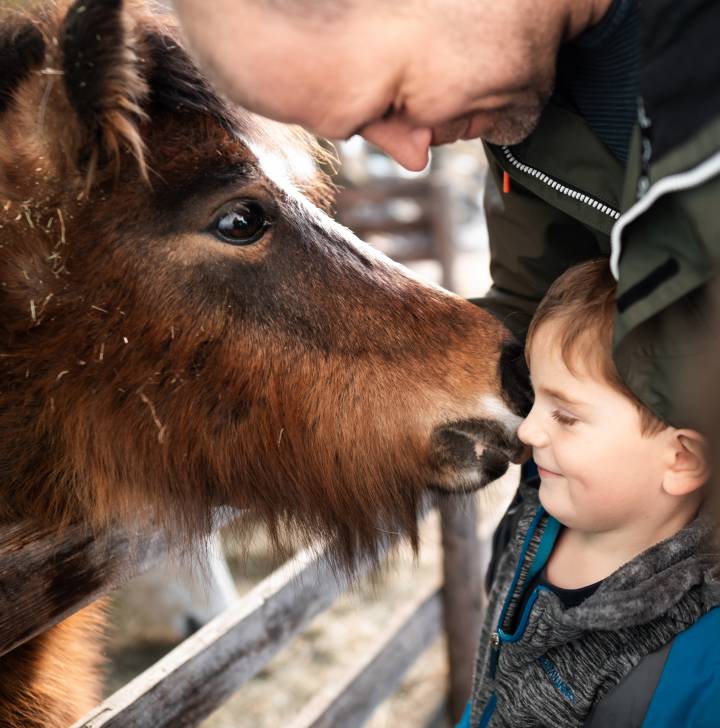 Biohotels Kinderhotel Urlaub mit Tieren
