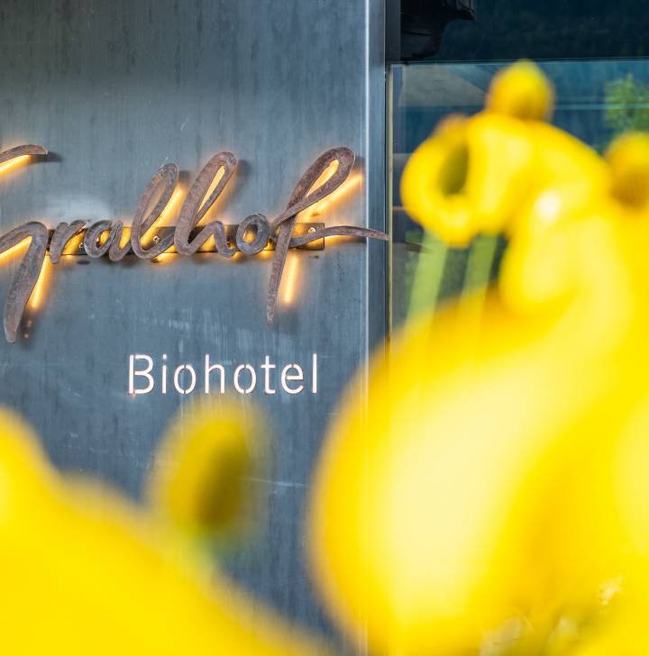 biohotels mehr als hotel gewinnspiel