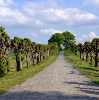 2 Biohotels an der Ostsee | BIO HOTELS® - BIO HOTELS