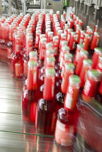 Biohotels Partner Neumarkter Lammsbräu