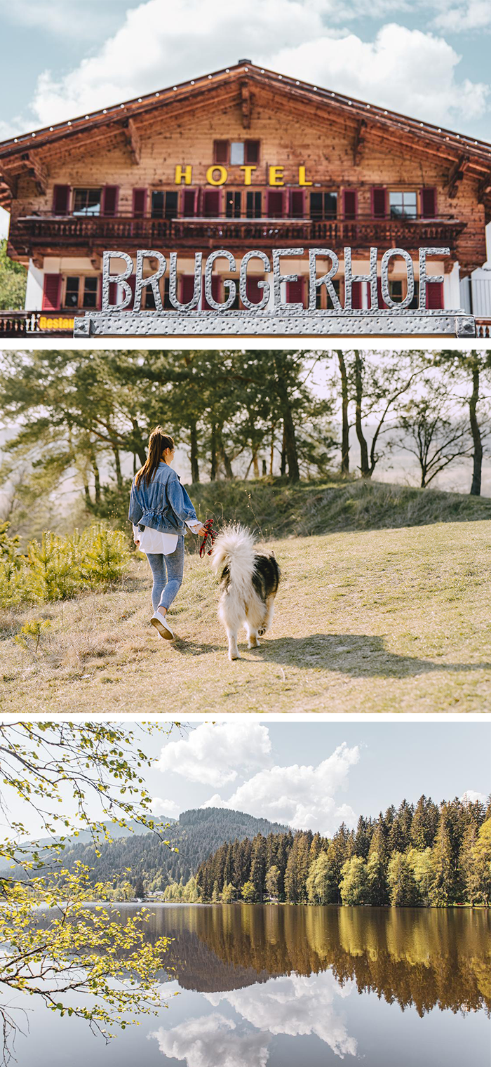 Wellnesshotel mit Hund