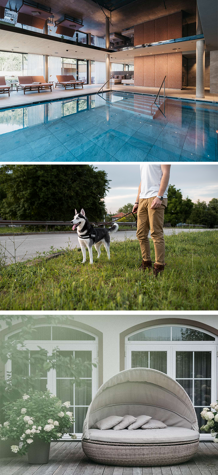 Wellnesshotel mit Hund in Österreich