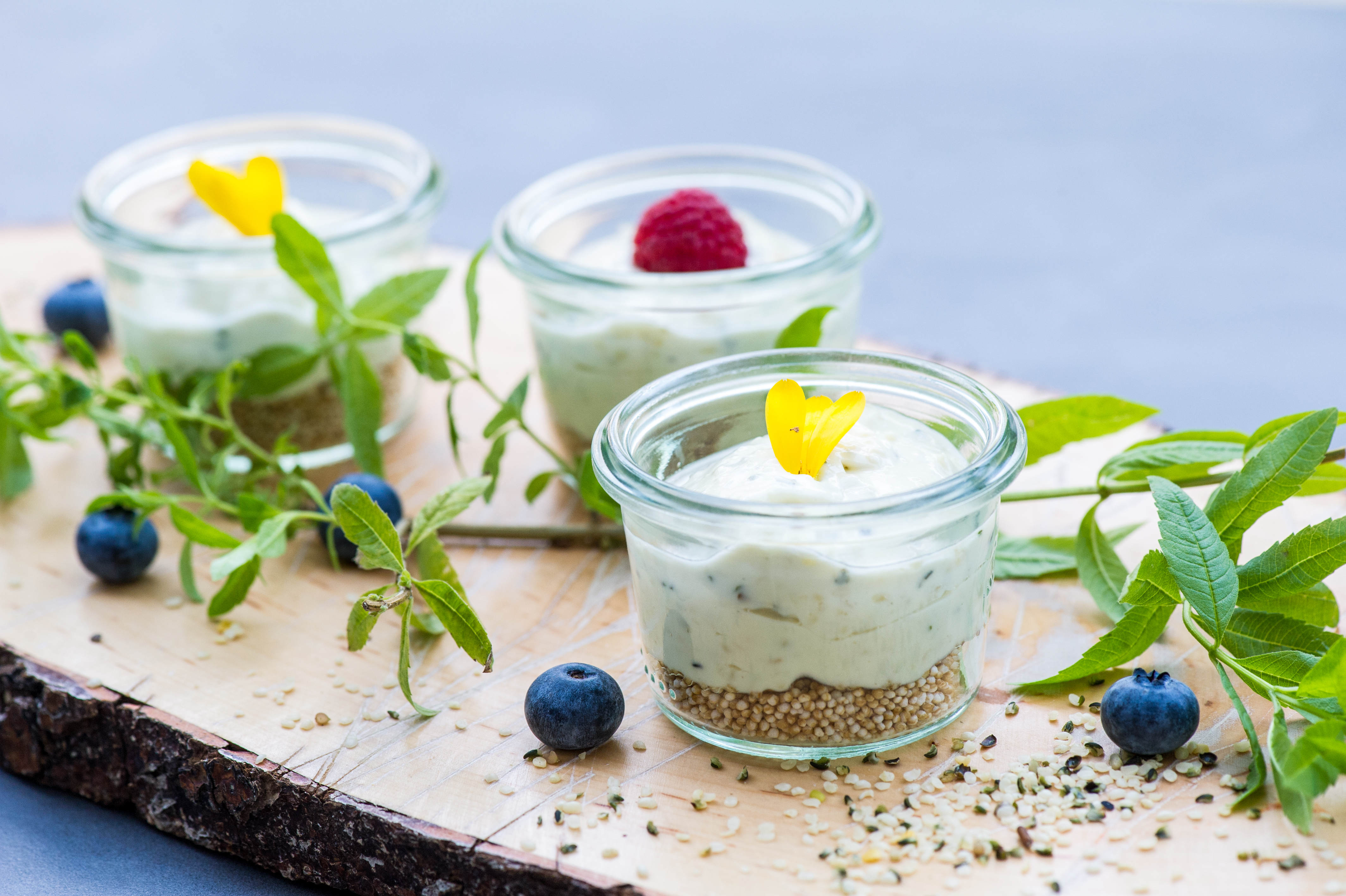 vegane leinölcreme mit hanfsamen