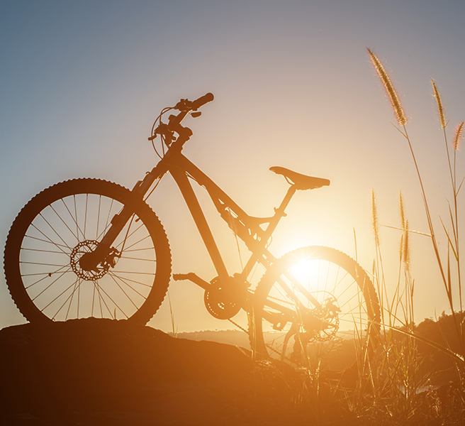 urlaub Fahrrad biohotels