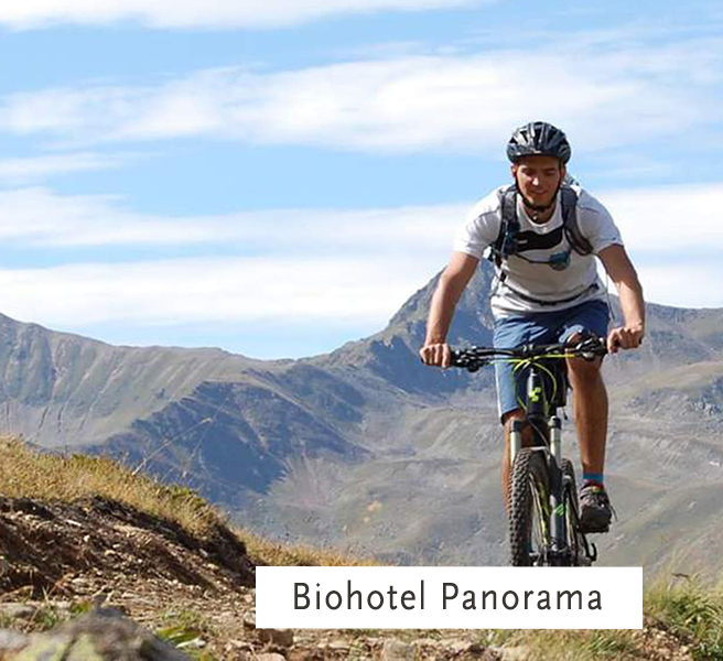 Biohotels Urlaub Fahrrad Hotel Panorama