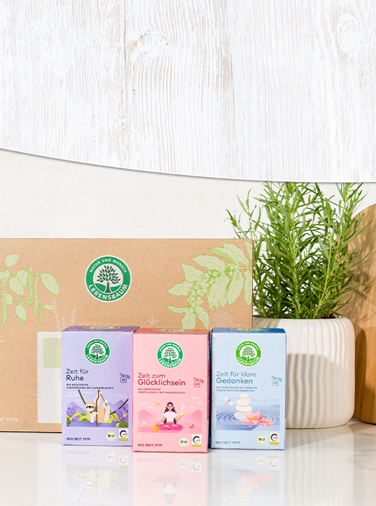 Lebensbaum Gewinnspiel